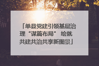 单县党建引领基层治理“谋篇布局” 绘就共建共治共享新图景