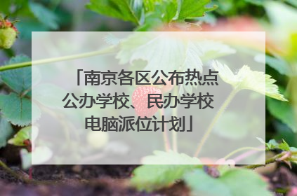 南京各区公布热点公办学校、民办学校电脑派位计划