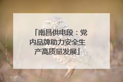 南昌供电段：党内品牌助力安全生产高质量发展