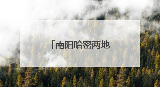 南阳哈密两地医院开展中医学术交流活动