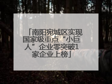 南阳宛城区实现国家级重点“小巨人”企业零突破1家企业上榜