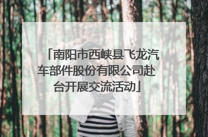 南阳市西峡县飞龙汽车部件股份有限公司赴台开展交流活动