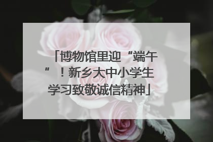 博物馆里迎“端午”！新乡大中小学生学习致敬诚信精神