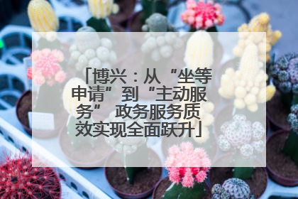 博兴：从“坐等申请”到“主动服务” 政务服务质效实现全面跃升
