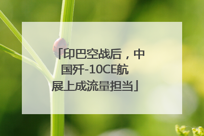 印巴空战后，中国歼-10CE航展上成流量担当