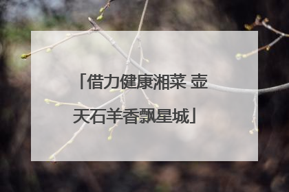 借力健康湘菜 壶天石羊香飘星城
