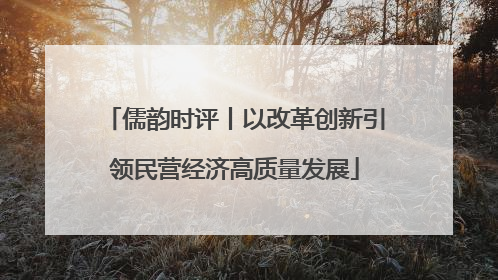 儒韵时评丨以改革创新引领民营经济高质量发展