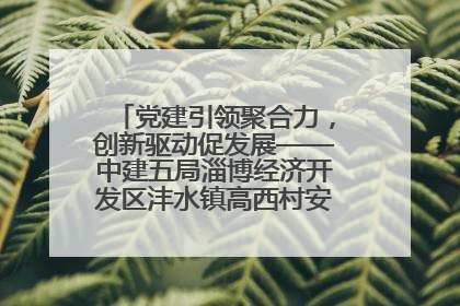 党建引领聚合力，创新驱动促发展——中建五局淄博经济开发区沣水镇高西村安置项目建设纪实