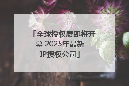 全球授权展即将开幕 2025年最新IP授权公司