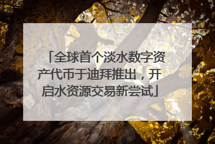 全球首个淡水数字资产代币于迪拜推出，开启水资源交易新尝试