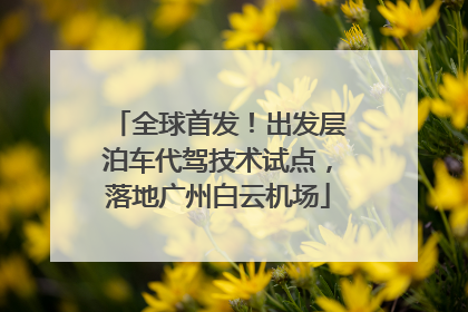 全球首发！出发层泊车代驾技术试点，落地广州白云机场