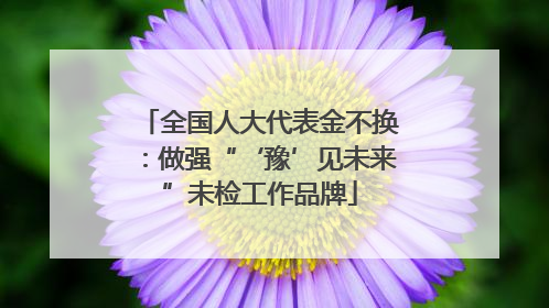 全国人大代表金不换：做强“‘豫’见未来”未检工作品牌
