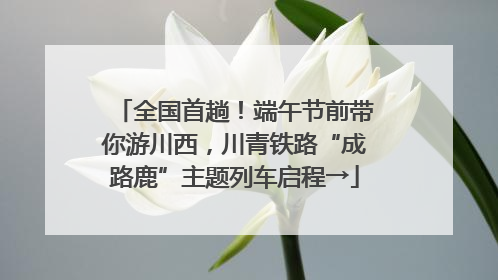 全国首趟！端午节前带你游川西，川青铁路“成路鹿”主题列车启程→