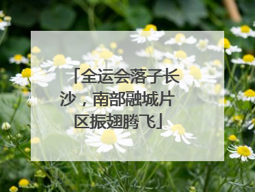 全运会落子长沙，南部融城片区振翅腾飞