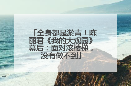 全身都是淤青！陈丽君《我的大观园》幕后：面对滚楼梯，没有做不到