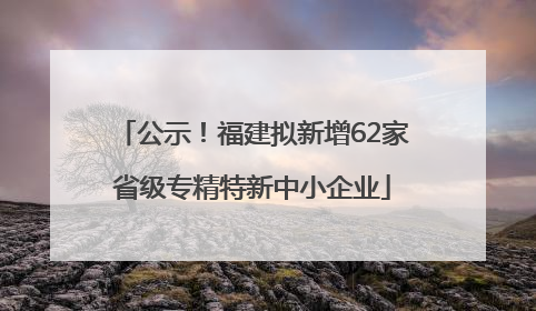 公示！福建拟新增62家省级专精特新中小企业