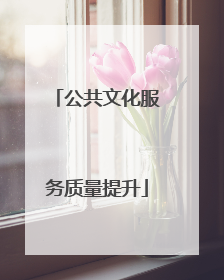 公共文化服务质量提升