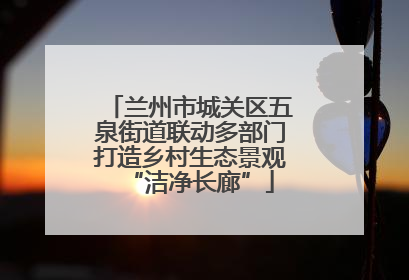 兰州市城关区五泉街道联动多部门打造乡村生态景观“洁净长廊”