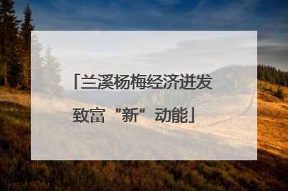 兰溪杨梅经济迸发致富“新”动能