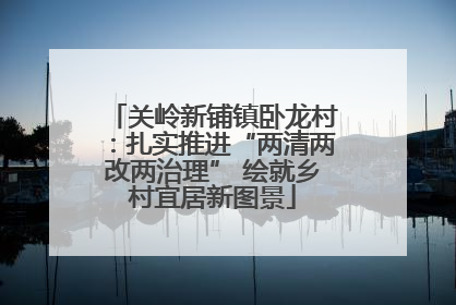 关岭新铺镇卧龙村：扎实推进“两清两改两治理” 绘就乡村宜居新图景