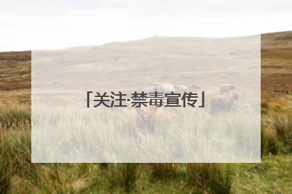 关注·禁毒宣传