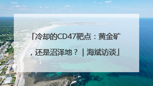 冷却的CD47靶点：黄金矿，还是沼泽地？｜海斌访谈