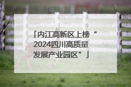 内江高新区上榜“2024四川高质量发展产业园区”
