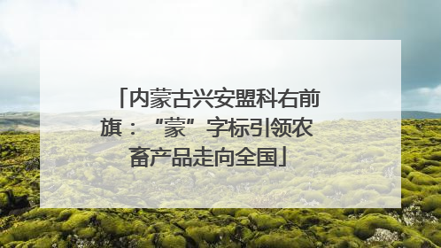 内蒙古兴安盟科右前旗：“蒙”字标引领农畜产品走向全国