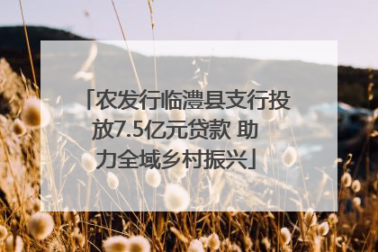 农发行临澧县支行投放7.5亿元贷款 助力全域乡村振兴