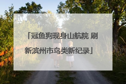 冠鱼狗现身山航院 刷新滨州市鸟类新纪录