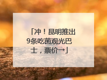 冲！昆明推出9条吃菌观光巴士，票价→