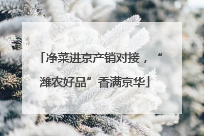 净菜进京产销对接，“潍农好品”香满京华