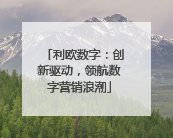 利欧数字：创新驱动，领航数字营销浪潮