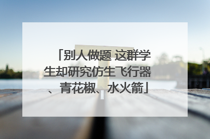 别人做题 这群学生却研究仿生飞行器、青花椒、水火箭