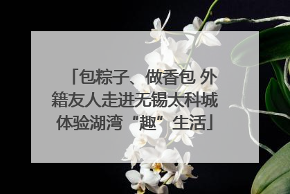 包粽子、做香包 外籍友人走进无锡太科城体验湖湾“趣”生活