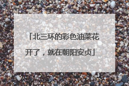 北三环的彩色油菜花开了,就在朝阳安贞