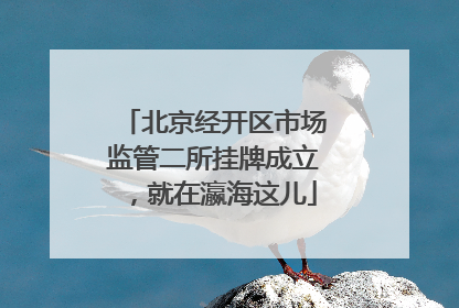 北京经开区市场监管二所挂牌成立，就在瀛海这儿