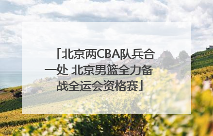 北京两CBA队兵合一处 北京男篮全力备战全运会资格赛