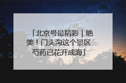 北京号最精彩｜绝美！门头沟这个景区芍药已花开成海