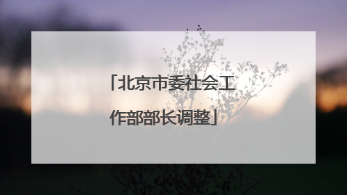 北京市委社会工作部部长调整