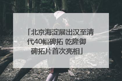 北京海淀展出汉至清代40幅碑拓 乾隆御碑拓片首次亮相