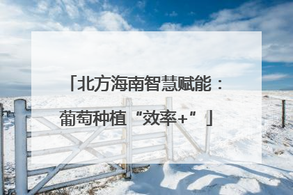 北方海南智慧赋能：葡萄种植“效率+”