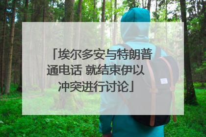 埃尔多安与特朗普通电话 就结束伊以冲突进行讨论