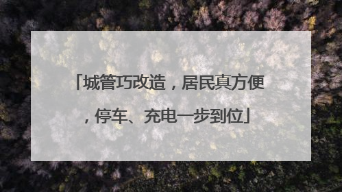 城管巧改造，居民真方便，停车、充电一步到位