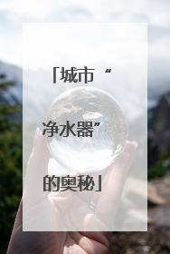 城市“净水器”的奥秘
