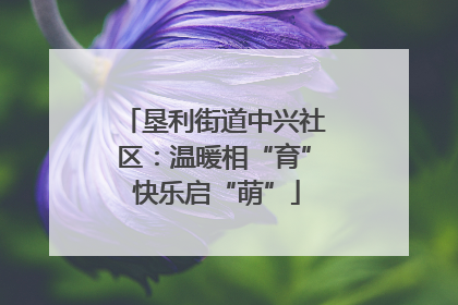 垦利街道中兴社区：温暖相“育” 快乐启“萌”