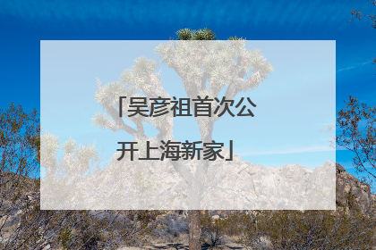 吴彦祖首次公开上海新家