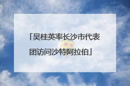 吴桂英率长沙市代表团访问沙特阿拉伯