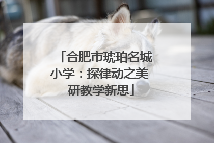 合肥市琥珀名城小学：探律动之美 研教学新思
