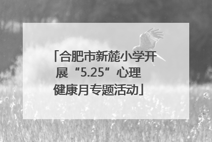 合肥市新麓小学开展“5.25”心理健康月专题活动